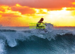 中国体彩|库里盛赞小佩顿关键表现，但重申追梦格林于勇士体系无可替代