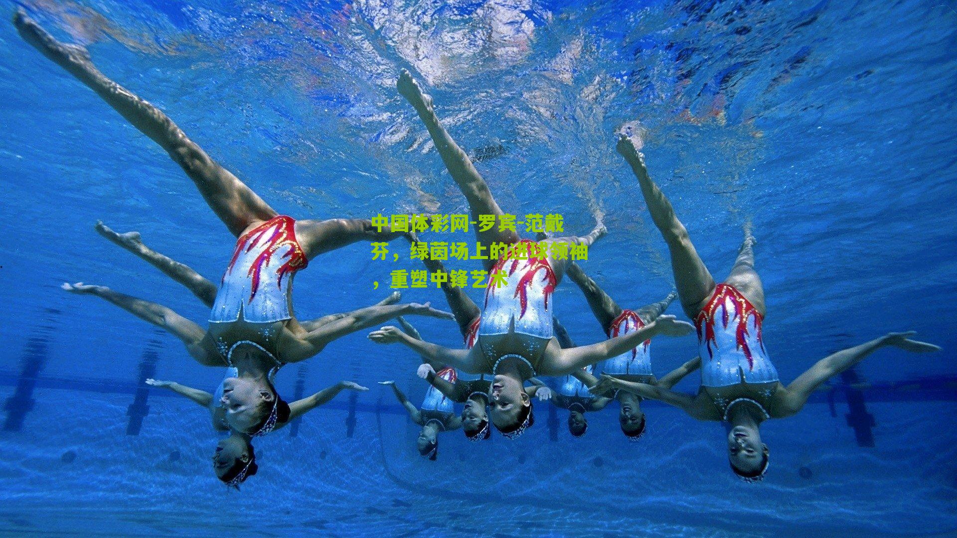 罗宾-范戴芬，绿茵场上的进球领袖，重塑中锋艺术