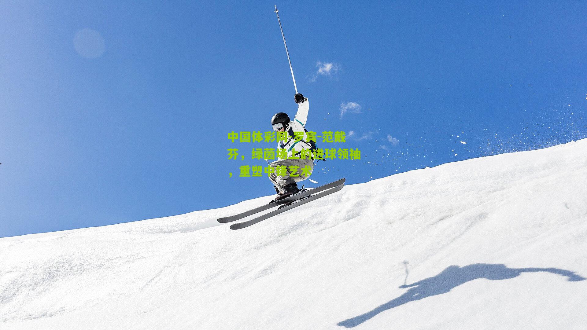 罗宾-范戴芬，绿茵场上的进球领袖，重塑中锋艺术