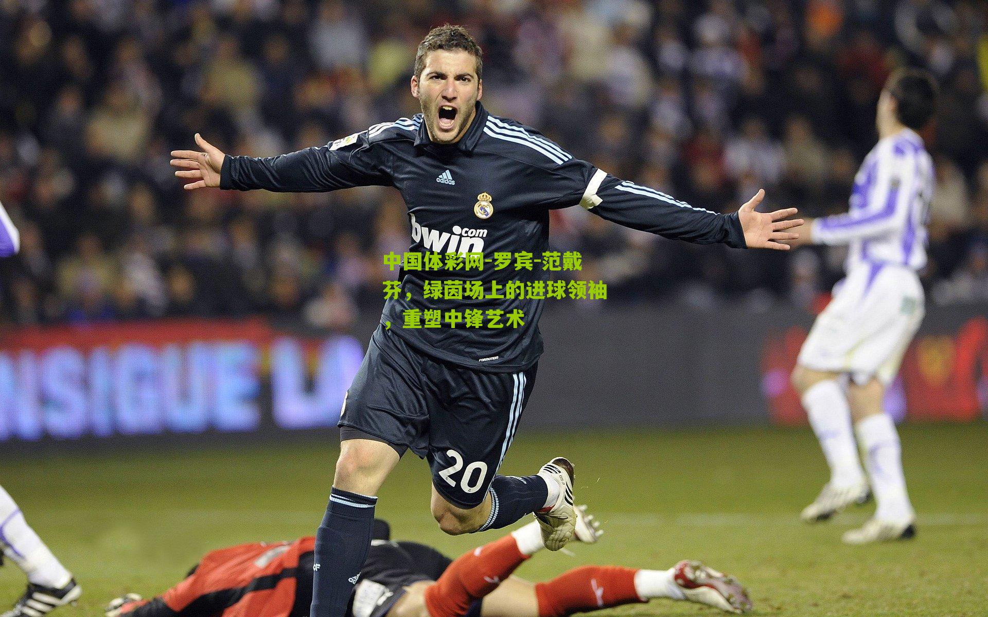 罗宾-范戴芬，绿茵场上的进球领袖，重塑中锋艺术